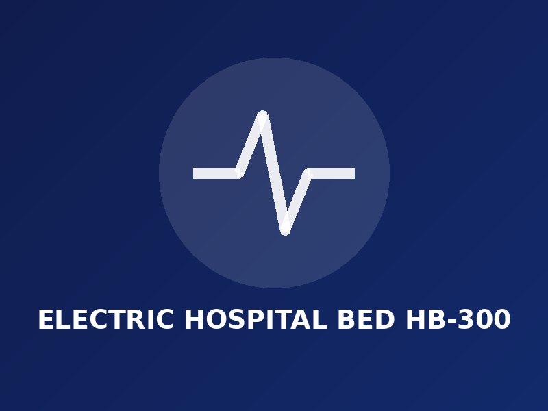 Electric Hospital Bed HB-300
